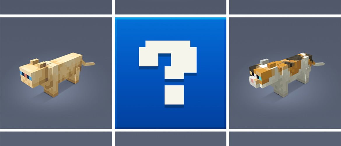 Minecraft, oyuna sizin kedinizi eklemek istiyor