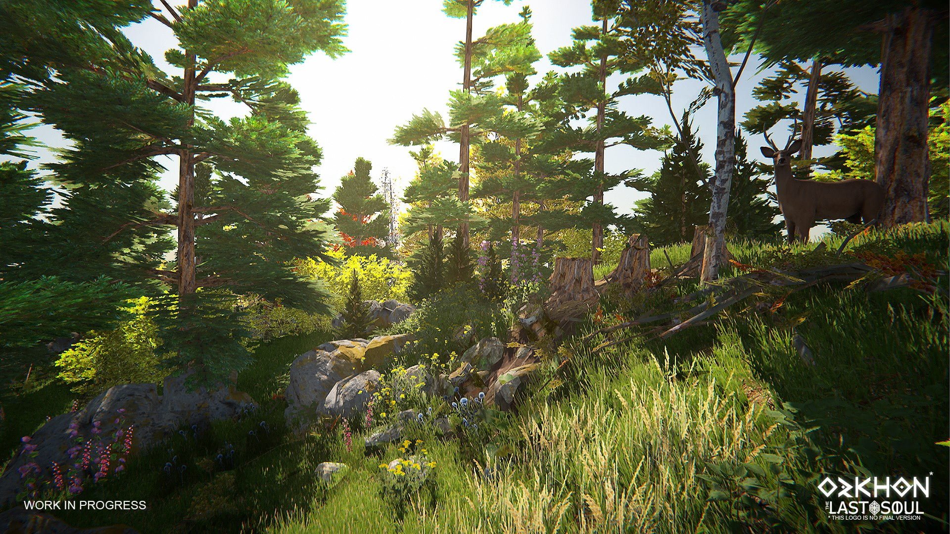Orkhon: The Last Soul isimli yeni bir Türk oyunu duyuruldu