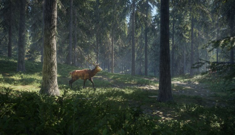theHunter: Call of the Wild - 2019 Edition incelemesi