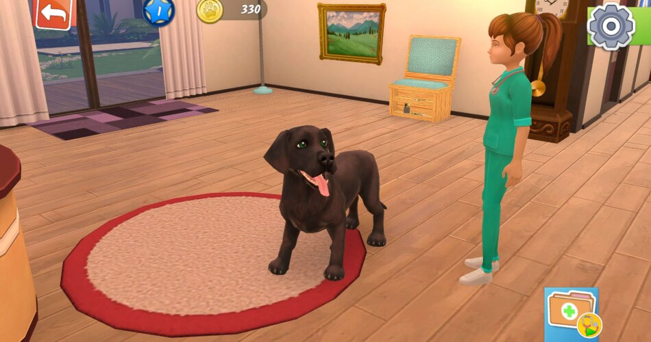 Animal Hospital incelemesi