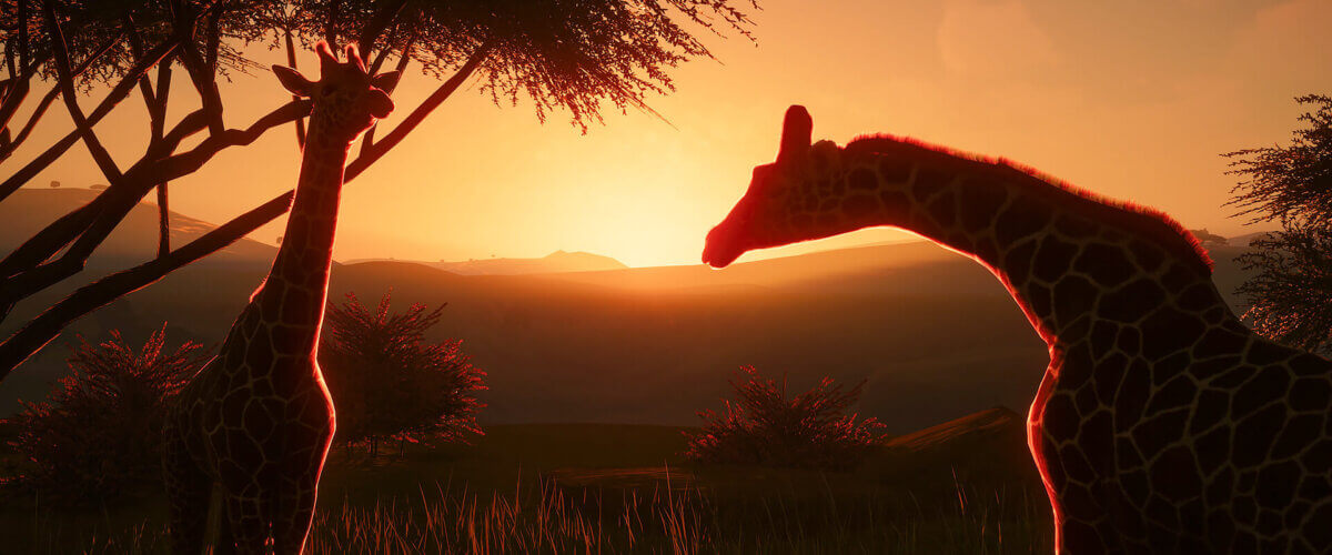 Planet Zoo: Console Edition incelemesi