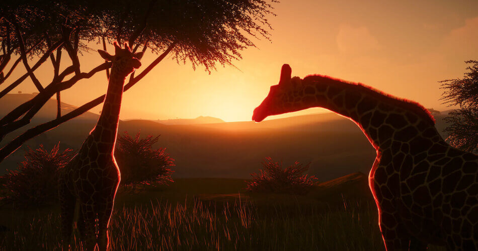 Planet Zoo: Console Edition incelemesi