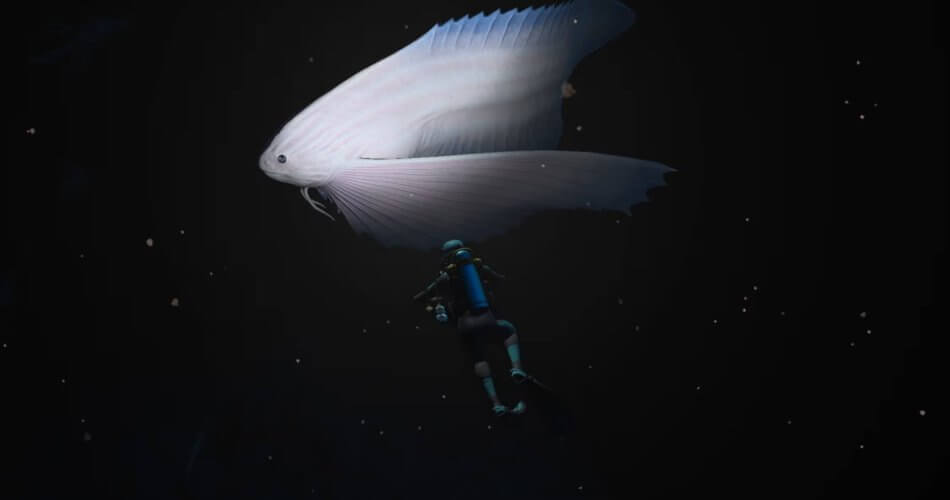 Endless Ocean Luminous incelemesi
