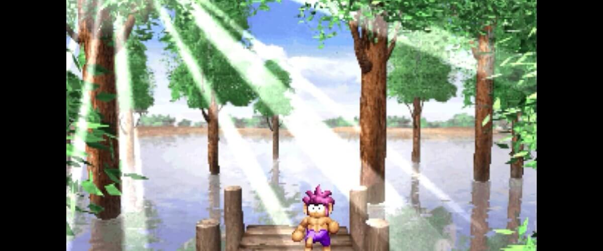 Tombi! Special Edition