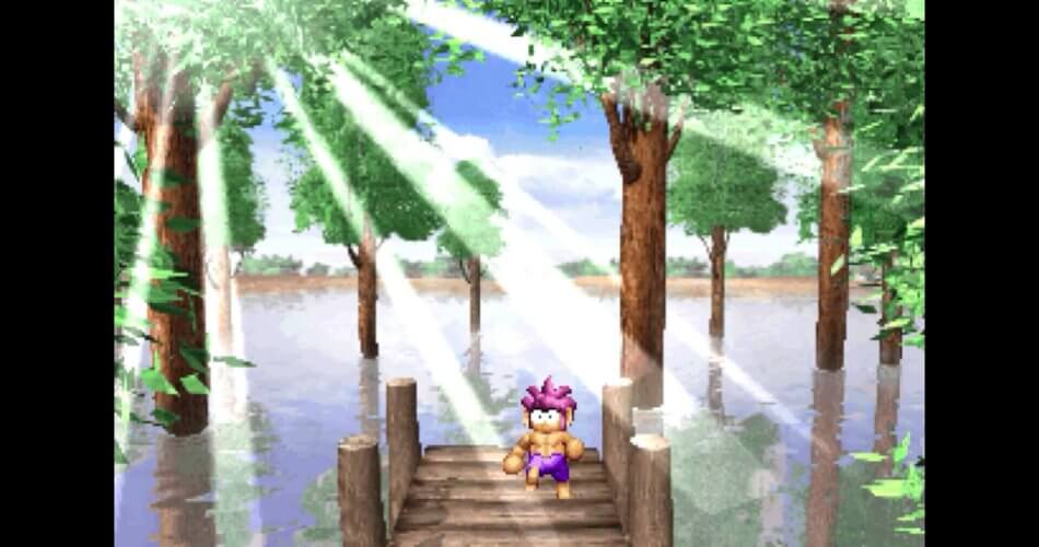 Tombi! Special Edition incelemesi