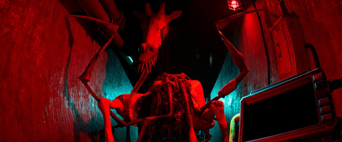 Zoochosis incelemesi